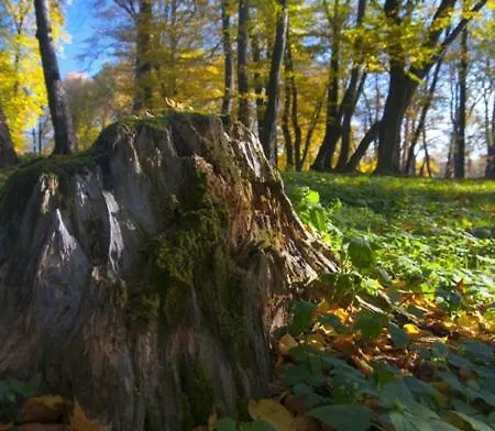 Hobiti Dom Spišský Štiavnik