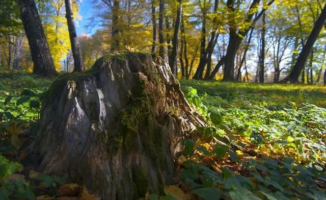 Hobiti Dom Spissky Stiavnik